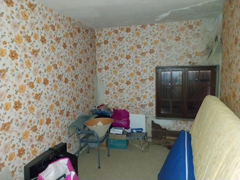 photo no. 8