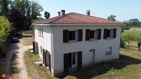 photo no. 11