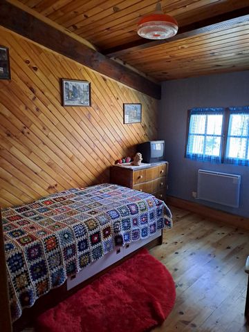 photo no. 6