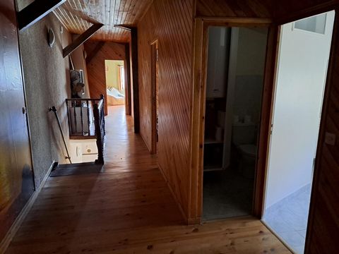 photo no. 8