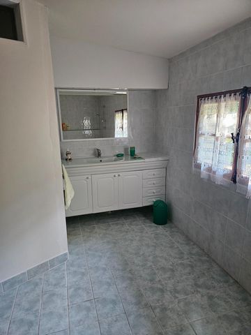 photo no. 9