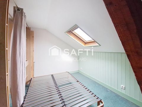 photo no. 11