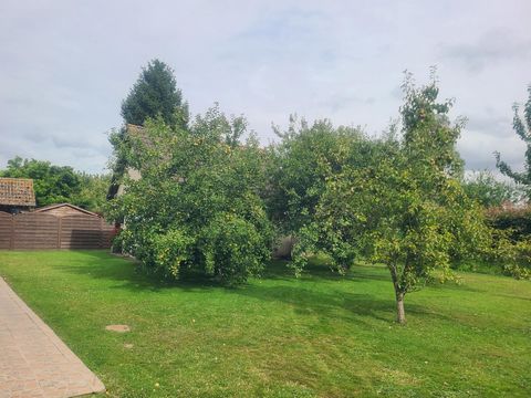 photo no. 12