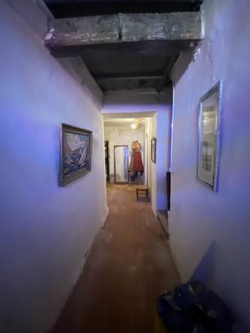 photo no. 37