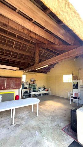 photo no. 11