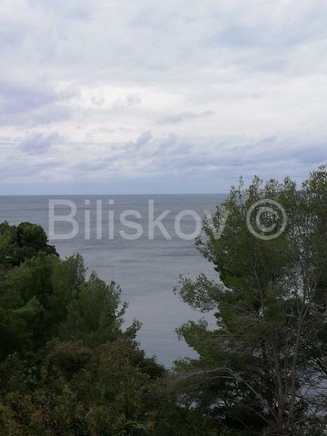 Vela Luka, building land of 2375m2 in the 3rd row from the sea, 80m from the beach. The whole land is under a pine forest. On the land there is a building of approximately 20m2 which has collapsed. It is located in a quiet location, ideal for vacatio...