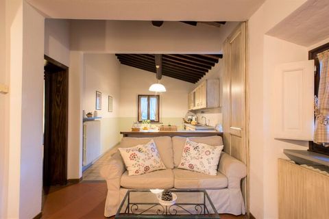 Submit yourself to the true beauty of nature in this rural apartment in the Italian Castelfiorentino and enjoy a wonderful holiday with the family. There is room for 5 people, thanks to 3 bedrooms. Moreover, a shared swimming pool, a terrace and a pr...