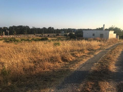 Fantastic plot of 4.500 m2 just a few metres from the beach. It has 2.000 m2 of commercial land. With the possibility of acquiring also the plot next door, which is identical, you could build 1.600m2 of roof, 10 metres of maximum height and 3 floors.