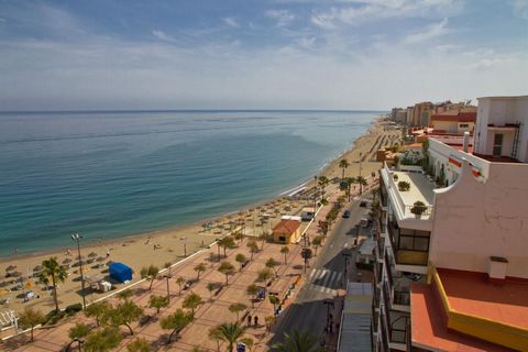 Perfect gelegen aan de boulevard, op slechts 30 meter van het grijze zandstrand, vlakbij alle winkels en restaurants. Geniet van het buitenzwembad en de nieuwe bar, de 