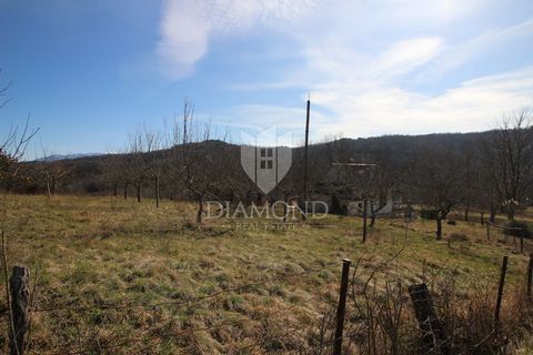 Location: Istarska županija, Cerovlje, Cerovlje. Cerovlje, surroundings, land surrounded by nature Building land of 2417 square meters for sale. All infrastructure is located on the field. It is directed to the south. The land is flat, with a slight ...