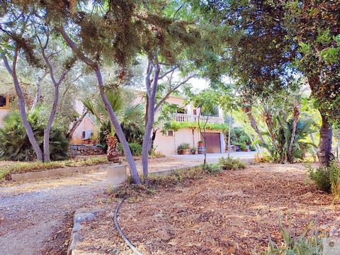Escape to the tranquil beauty of Mallorca's countryside with this exceptional country estate in Capdepera. Located on a 14,900 m2 plot of land, this property offers a combination of comfort and natural living. The heart of this charming estate is a g...