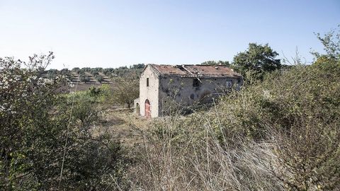Casale Trinità: een oase van geschiedenis en rust die wacht om herboren te worden. Omschrijving: __________: Stel je voor dat je omringd bent door de geschiedenis, charme en rust van het Italiaanse platteland. Deze ruïne van een oude boerderij zou je...