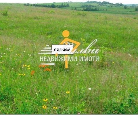 !!! EXCLUSIVELY FROM PROPERTIES SYLVIE !! FLAT plot in REGULATION with an area of 1300sq.m. in the village of Nikola Kozlevo. The property has an OLD SEMI-MASSIVE HOUSE and a shed. There is water and electricity in the plot. It is located near the ce...