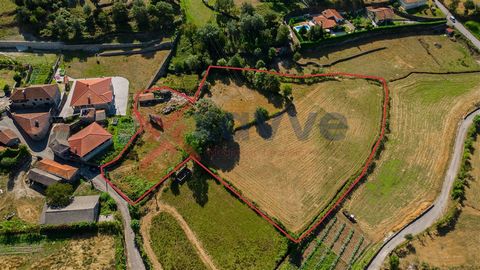 Land with about 8.279m2 of area, located in the quiet village of Soutelo, in the heart of Minho, between Póvoa de Lanhoso and Vieira do Minho.  In the surroundings we can find several tourist attractions, such as the Ermal Dam, Caniçada Dam, Peneda-G...