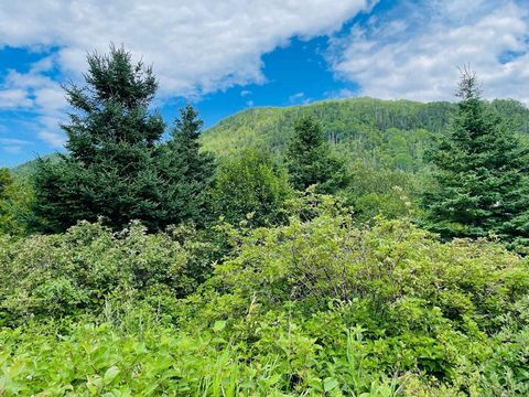 Land for sale Gaspésie - Mont-Louis of + 21 000ft2 Between mountains and rivers. Mature trees. Sold with the house to build MLS.27718257. Possible to buy with cottage and house. Make your offer. Great opportunity for you. INCLUSIONS forest EXCLUSIONS...