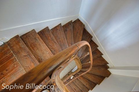 photo no. 2