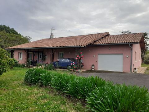 photo no. 2