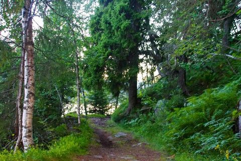 Gemütliches Ferienhaus in abgeschiedener, reizvoller Lage in schöner Natur in Solåsgrenda. Sie wohnen hier im südlichen Teil von Skrim, mit Blick in Richtung Svarstad. Das Ferienhäuschen hat zwei Schlafzimmer; eines mit einem Doppelbett, das zweite m...