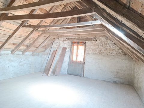 photo no. 16