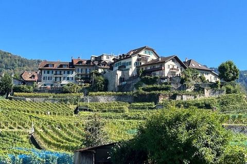 Vers gerenoveerd appartement in een historisch wijnmakershuis direct boven de wijngaarden met uitzicht op het meer en de bergen en een privétuin.