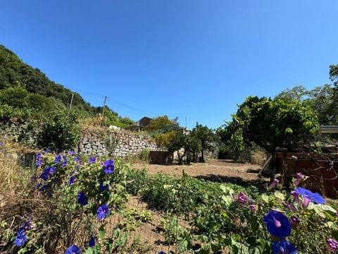 Uma casa típica para recuperar com 80m2 inserida num terreno de 760m2 tendo o privilegio de ter um poço e uma mina de agua que serve para a rega das arvores de fruto dispostas no terreno. Tem casa para recuperar com 5 assoalhadas, pequeno logradouro ...