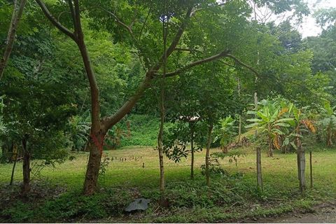 Large land of 3185 m2, to build in Lepanto Puntarenas, Costa Rica, 20 minutes from Coyote Beach, has a very good communication route, on a national road, surrounded by mountains; a, near the ravine. Quiet place.