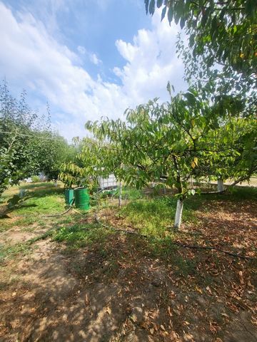 Op het perceel staat een gebouw met de status van een garage, dat bestaat uit twee aparte kamers, die kunnen worden omgebouwd tot wonen. Op het terrein is er een boomgaard ongeveer 40 fruitbomen van appels, pruimen, kersen, vijgen, hazelnoten, kweepe...