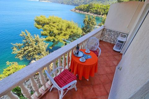 Apartments Filipović are located in Sobra and it offers you the perfect spot to relax and enjoy your vacation with family and friends. Luggage storage is possible prior check in and after check out, so you can explore the island a little more before ...