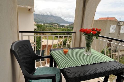 Apartments Sea Star are located in Mlini, in a peaceful inland area with intact nature and rich vegetation only 8 km away from historic Dubrovnik. Accommodation offers two units. One bedroom apartment with balcony features bedroom with queen size bed...