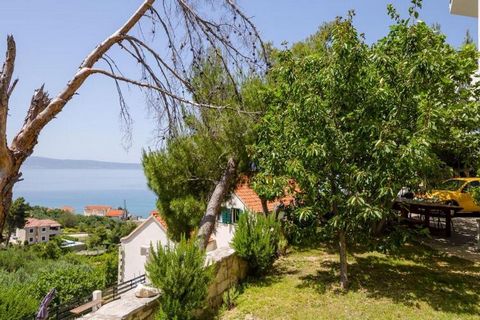 Apartments Bandalo are located in Podstrana, quite little town on the Dalmatian coast, approximately 8 km drive away from the famous Split promenade. Shared garden fitted with outdoor furniture and outdoor dining area, as well as BBQ facilities, are ...