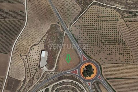 Are you looking to buy a finca in El Pinoso? Excellent opportunity to acquire in property 2 Fincas with an area of 124.839 m² located in the town of Pinós (el)/Pinoso, province of Alicante. They have good accesses and are well communicated, they offe...