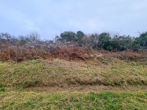 CROZON, secteur Montourgard, à proximité des commerces, plage de Morgat et Bois du Kador. Venez découvrir ce terrain en friche et arboré de 872m² environ, situé en zone naturelle sensible (ne peut être bâti). Non viabilisé, ni eau, ni électricité, ni...