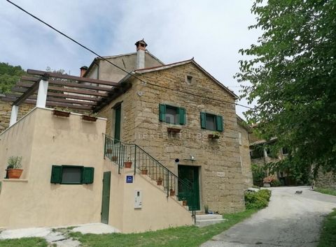 Location: Istarska županija, Buzet, Buzet. Pinguente, una piccola cittadina su una collina vellutata, circondata da possenti mura di pietra e condita con la divina gastronomia autoctona istriana. È ampiamente conosciuta come la città del tartufo, i c...