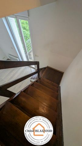 photo no. 8