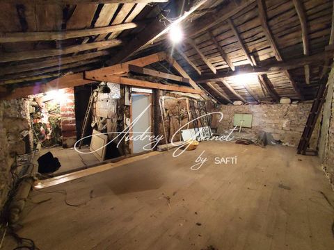 photo no. 11