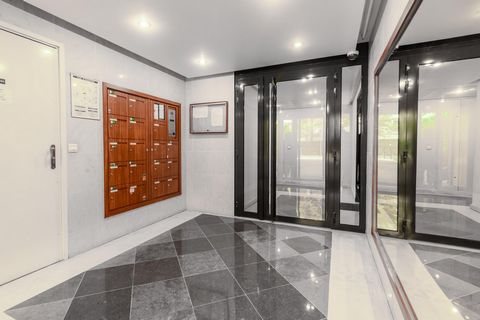 photo no. 3