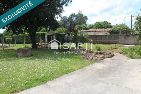 photo no. 2