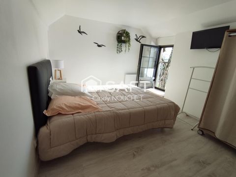 photo no. 6