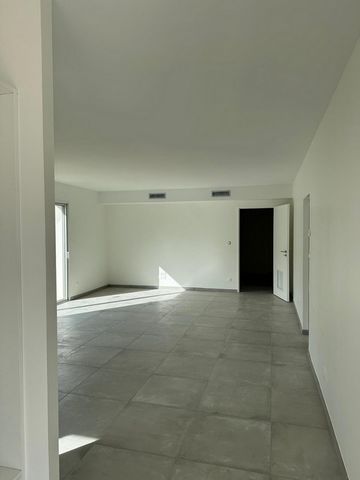 photo no. 2