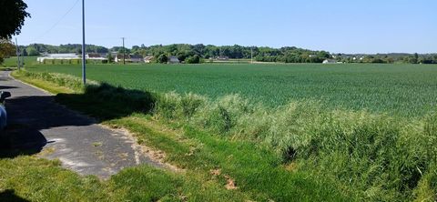 photo no. 11