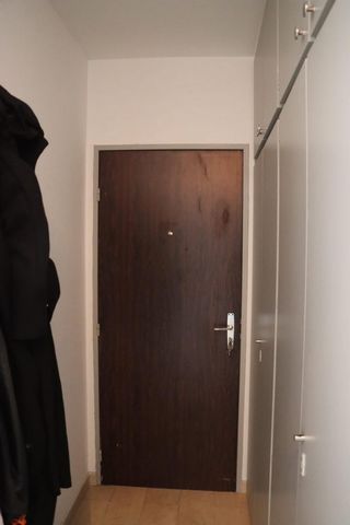 photo no. 6