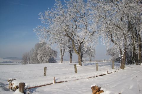 This beautiful countryside holiday home in Lower Bavaria offers an ideal getaway for a couple. It is lavishly furnished and comes with 1 bedroom and a large garden to relax. The house is located in the middle of Rottal Spa Triangle, and the surroundi...