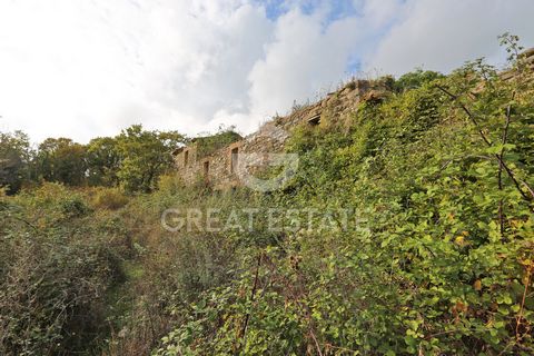 This property, surrounded by 4 hectares of owned land, consists of a main farmhouse needing renovation, whose volume cannot be transferred to another location, and an annex. The main ruin, spread over two levels, can be renovated into a single reside...