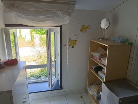 photo no. 12