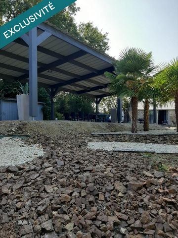 photo no. 10