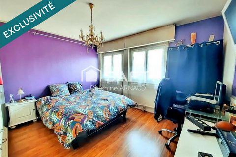 photo no. 12