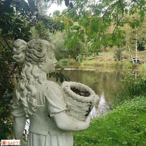 photo no. 11