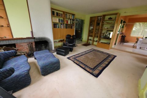 photo no. 3