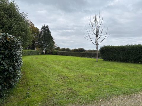 photo no. 5