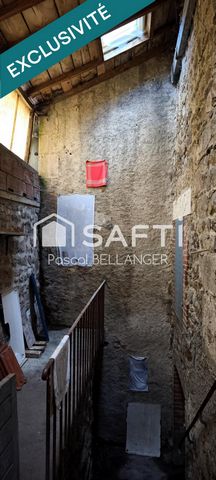 photo no. 12